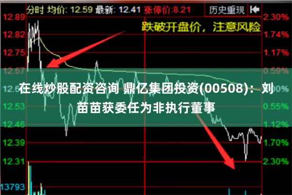 在线炒股配资咨询 鼎亿集团投资(00508)：刘苗苗获委任为